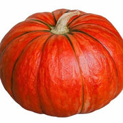 Red Pumpkin Seeds