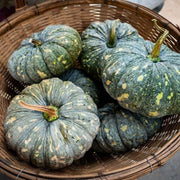 Rican Pumpkin Seeds
