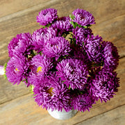 Wildflower Mix Purple China Aster Seeds