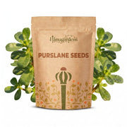 Purslane Seeds – Portulaca oleracea