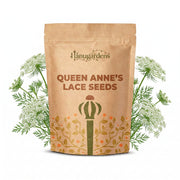 Queen Anne’s Lace Seeds – Daucus carota