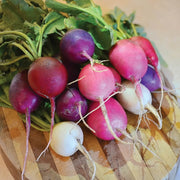 Easter Egg Mix Radish Seeds