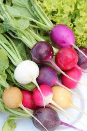 Easter Egg Mix Radish Seeds