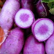 Purple Radish Seeds