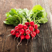 Cherry Belle Radish Seeds