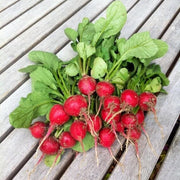 Cherry Belle Radish Seeds