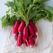 China Rose Winter Radish Seeds