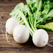 Hailstone Radish Seeds