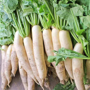 Japanese Minowase Radish Seeds