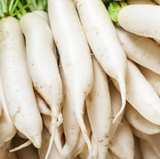 Japanese Minowase Radish Seeds