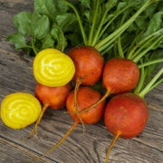 Orange Radish Seeds