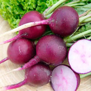 Purple Giant Radish Seeds