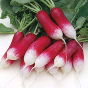Red White Radish Seeds