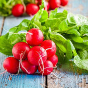 Red Mix Radish Seeds