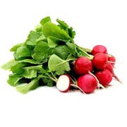 Red Mix Radish Seeds