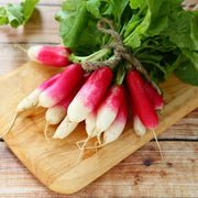 Mila Radish Seeds
