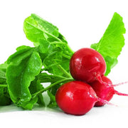 Red Mix Radish Seeds