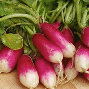 Mila Radish Seeds
