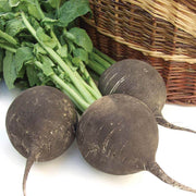 Deep Brown Radish Seeds