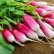Red White Radish Seeds