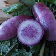 Blue Radish Seeds