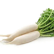 Smooth White Daikon Radish Seeds