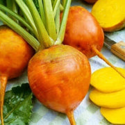 Dark Orange Radish Seeds