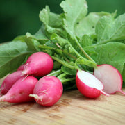 Lady Slipper Radish Seeds