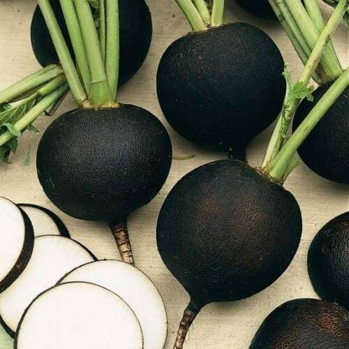 Black Radish Seeds