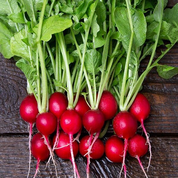 Cherry Belle Radish Seeds