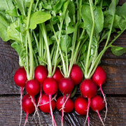 Cherry Belle Radish Seeds