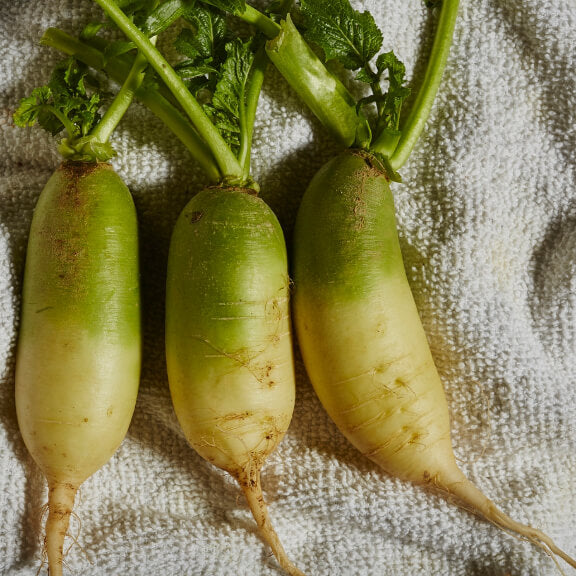 Green Radish Seeds