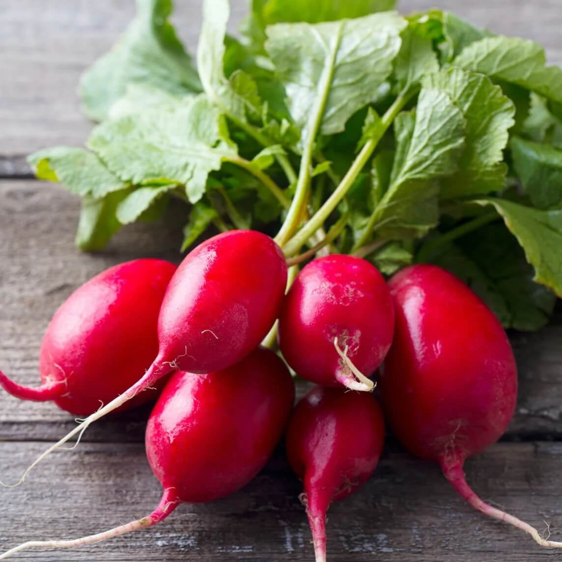 Lady Slipper Radish Seeds