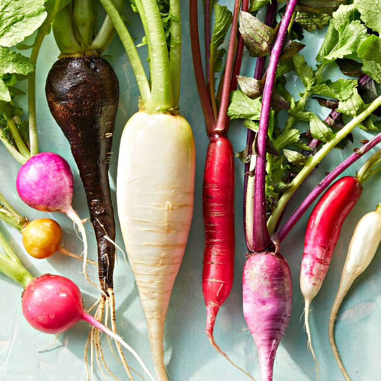Mixed Radish Seeds