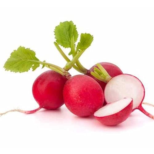 Red Radish Seeds