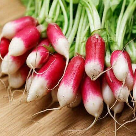 Red White Radish Seeds