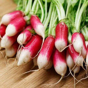 Red White Radish Seeds