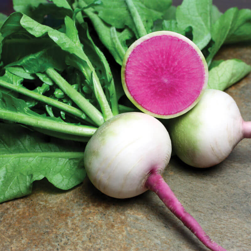 Starburst Mix Radish Seeds