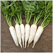Waterline Radish Seeds