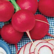 German Giant Radish Seeds