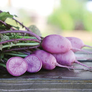 Bluemoon Radish Seeds