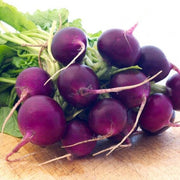 violet Radish Seeds