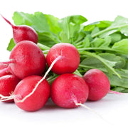 German Giant Radish Seeds