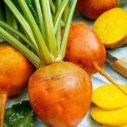 Orange Radish Seeds