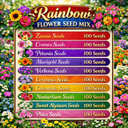 Rainbow Flower Seed Mix