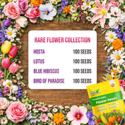 Rare Flower Collection Kit