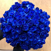 Rare Red Heirloom Blue Rose Seeds