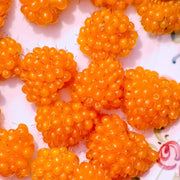 Salmonberry Raspberry Seeds