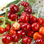 Red Cherry Hot Pepper Seeds