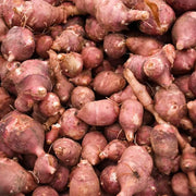 Red Fuseau Seeds